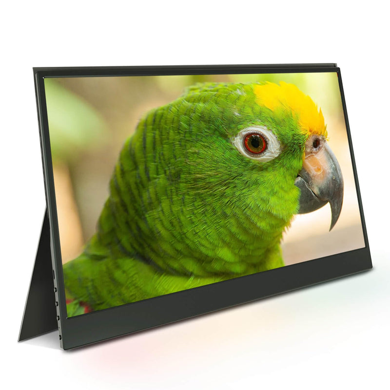 Portable Monitor, 15.6 Inch Fhd 1080P Usb-C Hdmi External Monitor,Second Monit