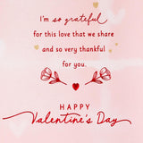 Hallmark Valentine's Day Card for Wife (Happiness and Hard Work)
