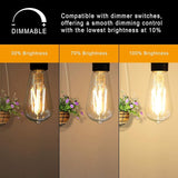 6 Pack Vintage LED Edison Bulbs ST58 6W 60W Equivalent 2700K Warm White Dimmable E26