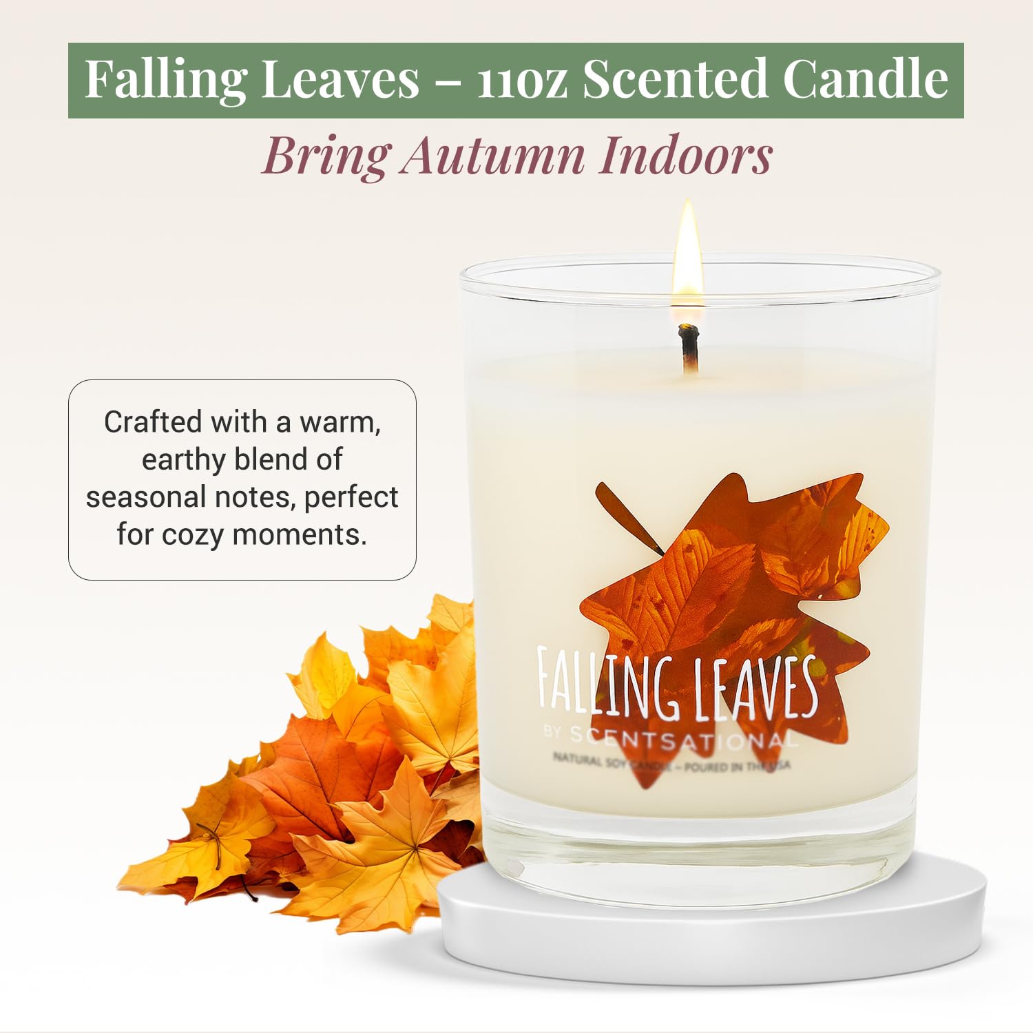 Falling Leaves Soy Candle – 11 Oz Jar Candle With Cozy Autumn Scent – Non-Toxic Fall Candles For Home Decor, Gifting & Seasonal Ambience – Hand Poured Soy Blend Scented Candles