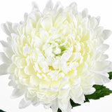 3Pcs Fake Mums Flowers White Artificial Chrysanthemum Flowers Silk Long Stem Floral Arrangements Bouquets Faux Spider Mum Flower Pincushion Flower Bush Spring Home Decor