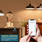 A19 Smart WiFi RGB LED Bulb 4 Pack Color Changing Alexa Siri Google Home E26 60W Equivalent