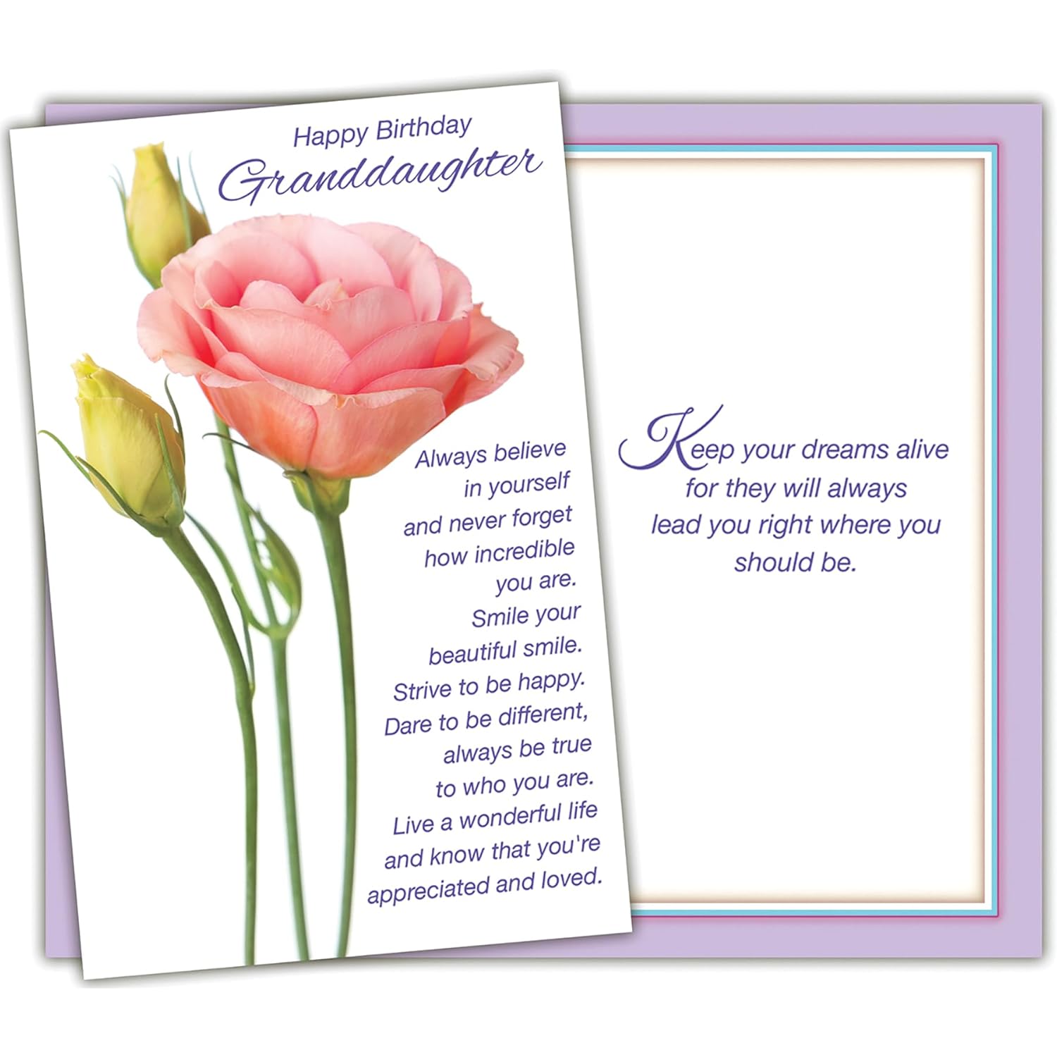 Granddaughter Birthday Card - Large Card Opens To 10" X 7.75" - Made In Usa - Perfect Pink Rose Design - Premium Envelope & Sturdy Mailer 95359