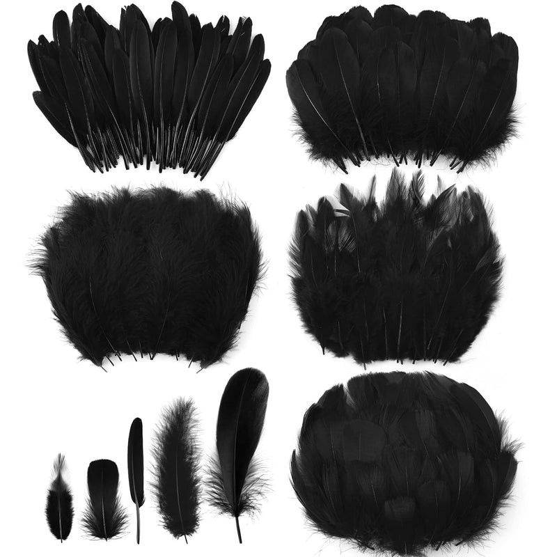 500 Pcs Halloween Black Assorted Crafts Feathers 4 Styles Mixed Feathe