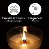 WOODWICK Trilogy Candle Large Cafe Sweets 93904E