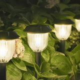 10 Pack Solar Pathway Lights IP65 Waterproof Warm White Auto On Off Garden Landscape Lights