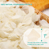 Dried Real Hydrangea Petals, Natural Preserved Dry Flower Petals For Wedding Party Dinner Table Decor, Romantic Night For Her Set, Engagement, Bridal Shower, Valentine'S Day, Confetti (0.7Oz, White)