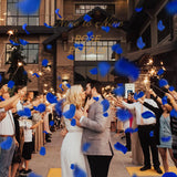 Pack Of 1000 Rose Petals, Artificial Flowers For Decoration Wedding Party(Royal Blue)