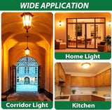 2 Pack 50W LED Corn Light Bulbs 400W Equivalent 3000K Warm White 5500 Lumens E26 E27 Base