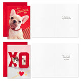 Hallmark Valentines Day Cards for Kids School, Puppy, Kitten, Pig, Hedgehog (24 Classroom Valentines with Envelopes)