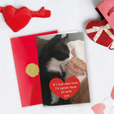 Funny Cat Valentines Day Gifts For Him Her, Birthday Card For Men Women, Sweet Anniversary Cards Cat Lovers