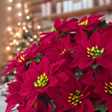8 Pack 7 Heads 17In Poinsettia Christmas Flowers Artificial Velvet Fake Poinsettia Bouquet, Indoor & Outdoor Christmas Tree Decorations For Vase Table Porch Garden Decor, Red