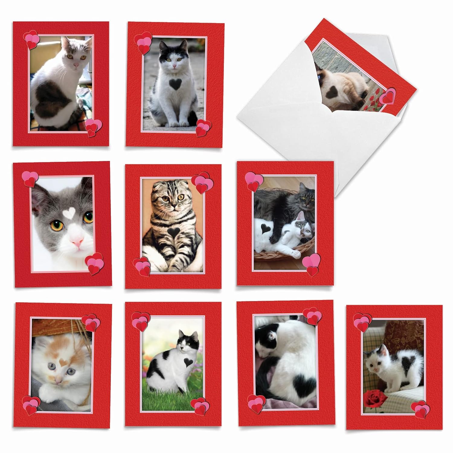 - 10 All Occasion Blank Cat Cards (4 X 5.12 Inch) - Cute Assorted Bulk Card Set - Heartfelt Cats M5658Ocb-B1X10