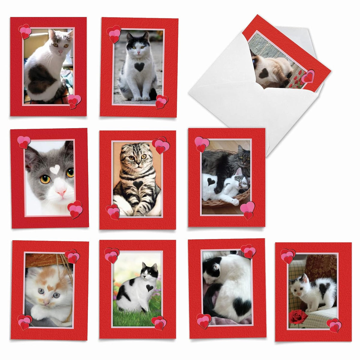 - 10 All Occasion Blank Cat Cards (4 X 5.12 Inch) - Cute Assorted Bulk Card Set - Heartfelt Cats M5658Ocb-B1X10