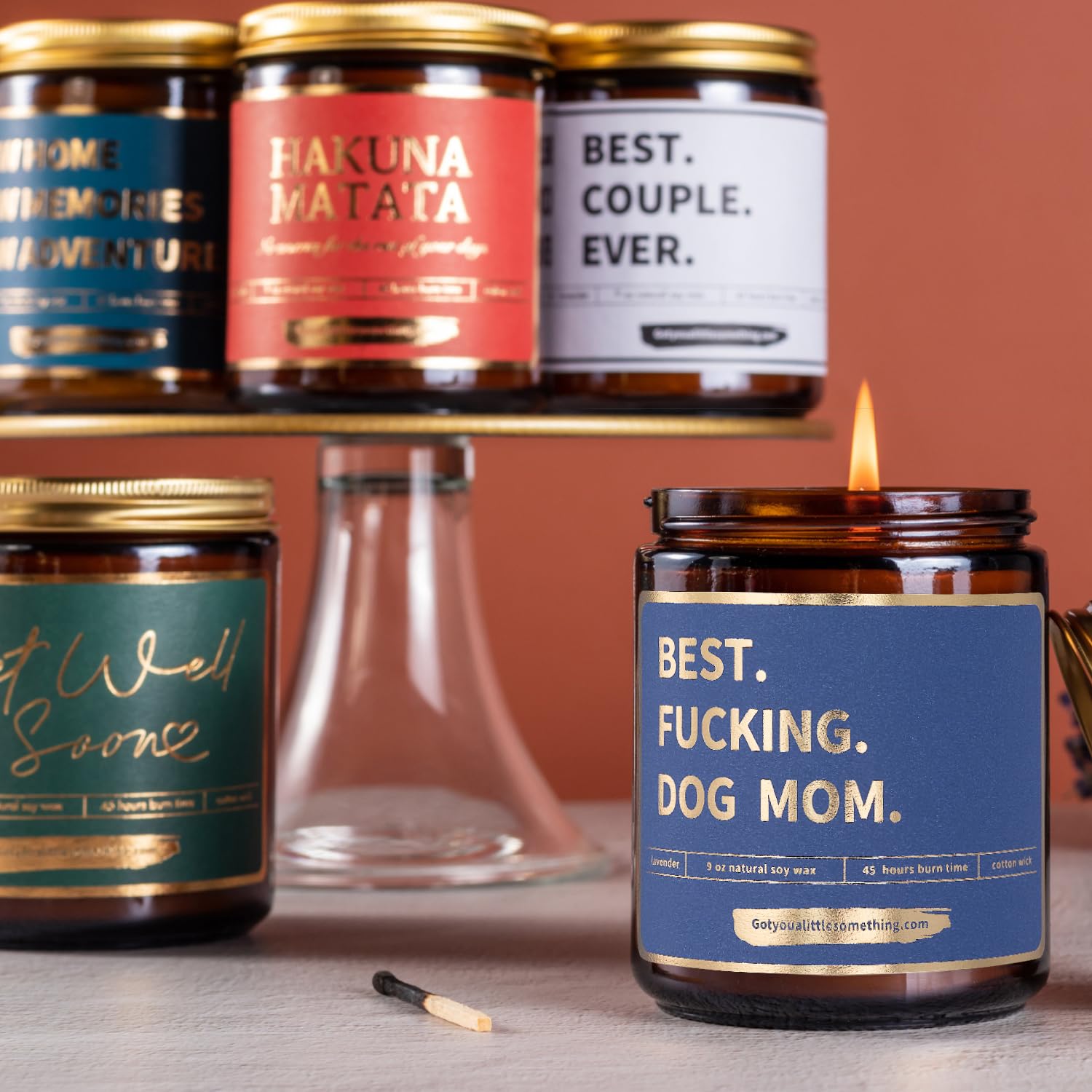 Best Dog Mom, Funny Lavender Vanilla Scented Candle, 100% Soy Wax | Dog Mom Gifts For Women For Birthday | Friendship Present Idea For Animal Pet Lovers | New Puppy Fur Mama Birthday Gift From Dogs