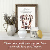 Pet Memorial Gifts For Loss Of Dog Cat, Sympathy Gift For Pets Loss, Dog Bereavement Cat Memorial Candle, Remembrance Present In Memory Of Cat, Passing Away Condolence Presents For Friends Pet Owner