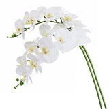 38 Inch Artificial Phalaenopsis Flowers Branches Real Touch (Not Silk) Orchids Flowers For Home Office Wedding Decoration,Pack Of 2 (White)