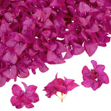 50Pcs Hot Pink Bougainvillea Artificial Flower Heads Realistic Silk Fake Flowers Bulk For Crafts Diy Wedding Cake Party Home Decor (Hot Pink)