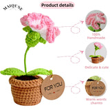Crochet Flowers Potted Plants,Knitted Carnation Flowers,Knitting Crocheted Flower Potted Gifts For Mother,Wife,Women,Friend,Car Dashboard,Table,Home Office Car Decor