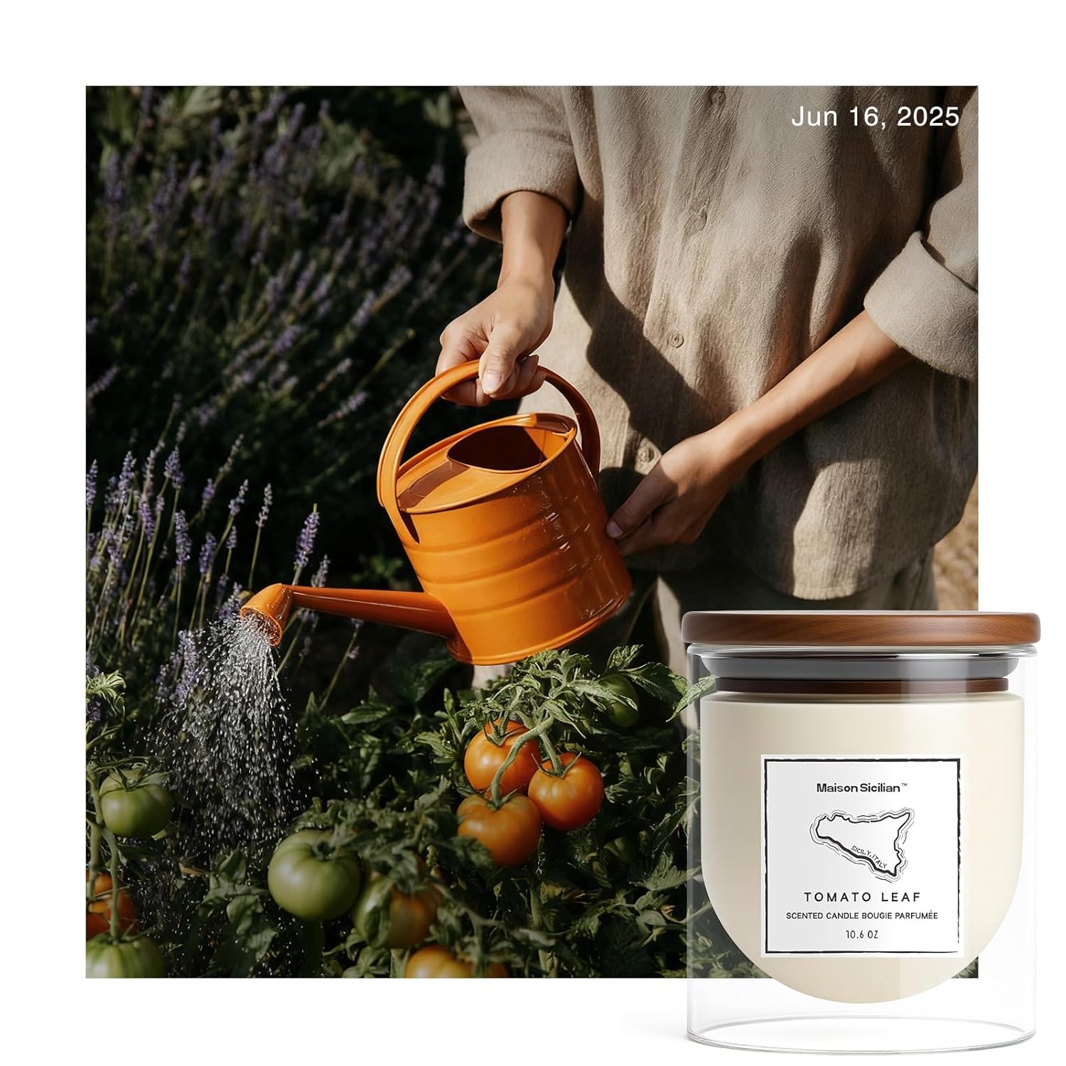 Tomato Leaf Candle 10.6 Oz | Earthy Fresh Tomato Leaf Scent | Lidded Glass Jar | Premium Soy Wax + Luxury Fragrance Oil | Fresh Green Garden Ambiance & Thoughtful Gifting