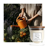 Tomato Leaf Candle 10.6 Oz | Earthy Fresh Tomato Leaf Scent | Lidded Glass Jar | Premium Soy Wax + Luxury Fragrance Oil | Fresh Green Garden Ambiance & Thoughtful Gifting