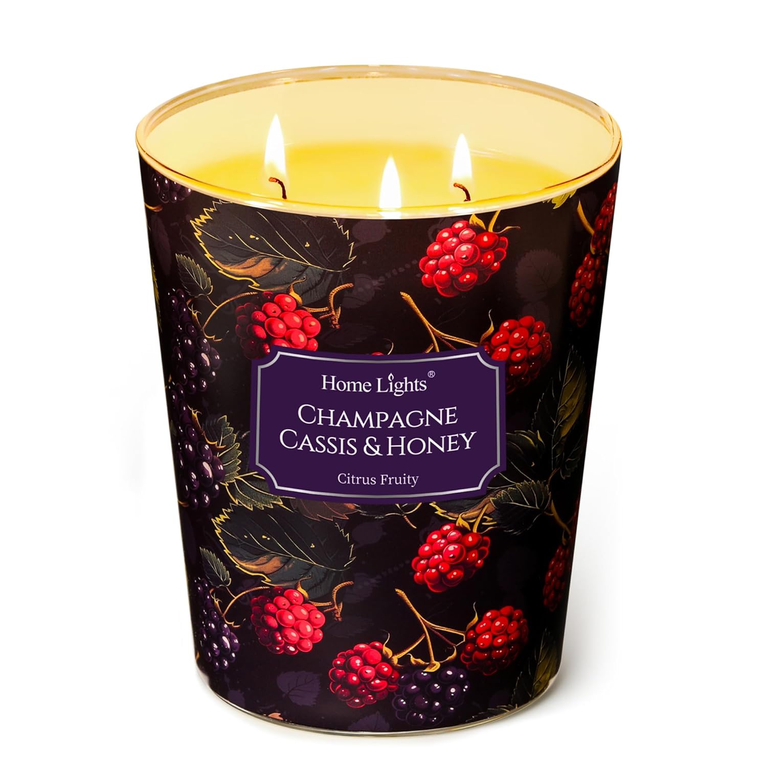 Homelights Scented Candles | Large Jar 34 Oz Natural Soy Candle | 130 Hrs Long-Lasting With 3 Wicks | Eclectic Mixed Styles Home Decor | Gifts For Mom & Women, Champagne Cassis & Honey