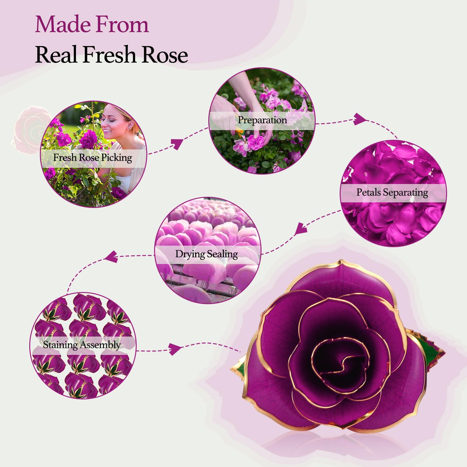 24K Gold Plated Purple Rose,Forever Preserved Artificial Rose Flowers, Eternal Long Stem Purple Rose Flowers With Transparent Stand, Gifts For Girlfriend,Wife,Women, Birthday,Wedding,Christmas