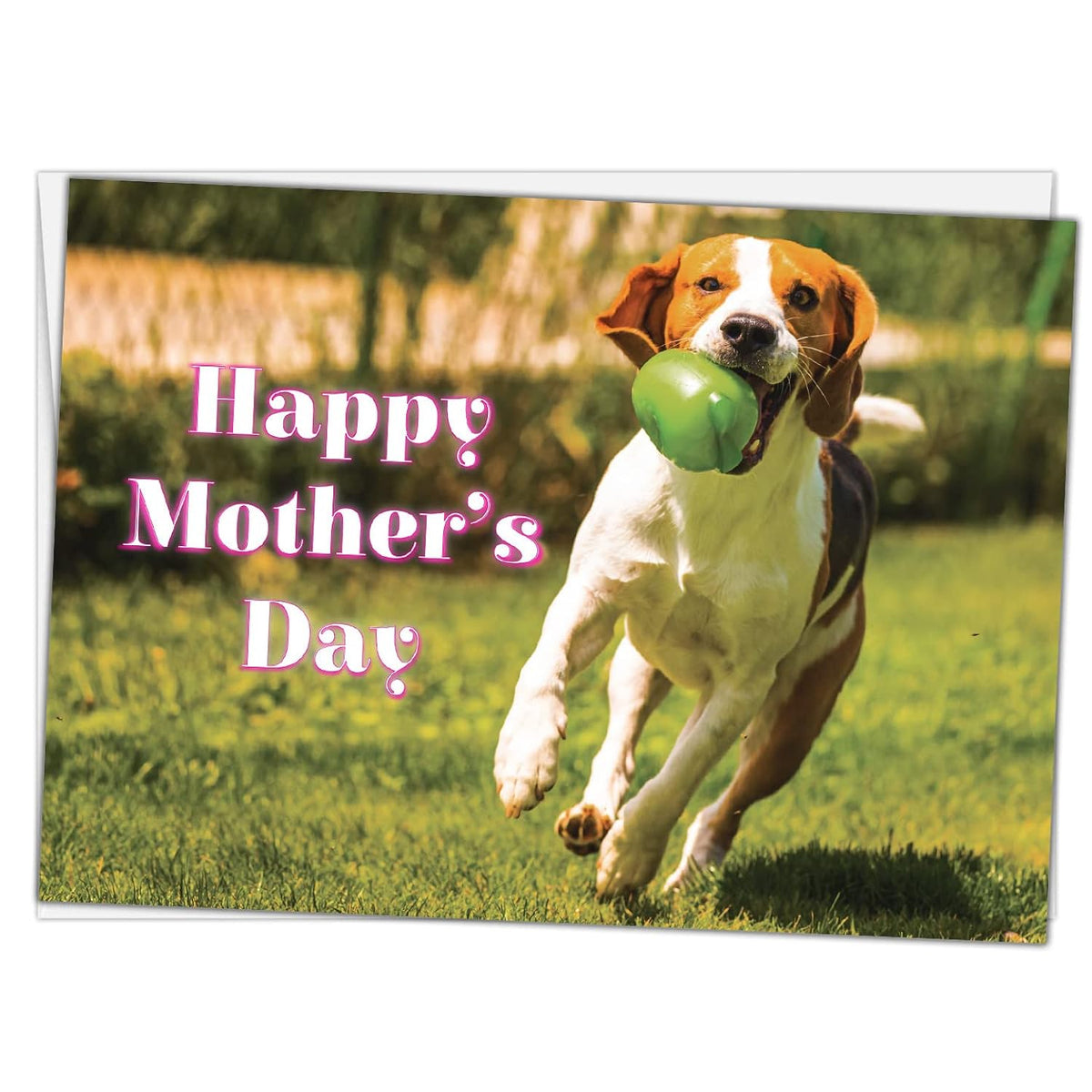 Best Mom In The Dog Park Mother'S Day Greeting Card