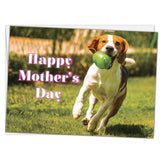 Best Mom In The Dog Park Mother'S Day Greeting Card