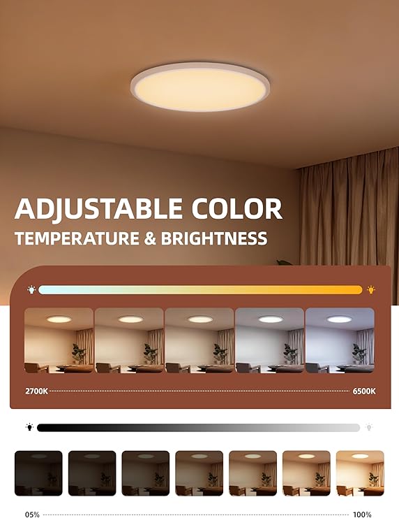 2 Pack Smart RGB LED Ceiling Lights with Alexa Remote 2400LM Flush Mount Fixtures