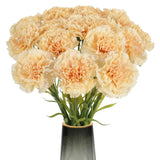 15Pcs Carnations Artificial Flowers Champagne Silk Carnation 20.47" Long Stem Fake Carnations Flowers For Weddings, Diy Crafts,Floral Arrangements Bridal Shower Home Decor(Champagne)