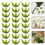 100 Pcs Green Plastic Flower Bases 2.17X2.17X1.38 Inches Artificial Rose Calyxes Sepals For Diy Floral Arrangements Craft Supplies Home Decor