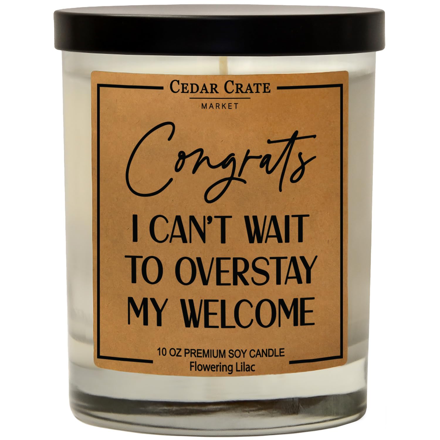 House Warming Presents For New Home 2025, Funny Housewarming Candle, New Apartment Decor, New Gift Ideas For Women Men Friends, Couples, Unique Gifts, 100% Soy Wax, Made In Usa