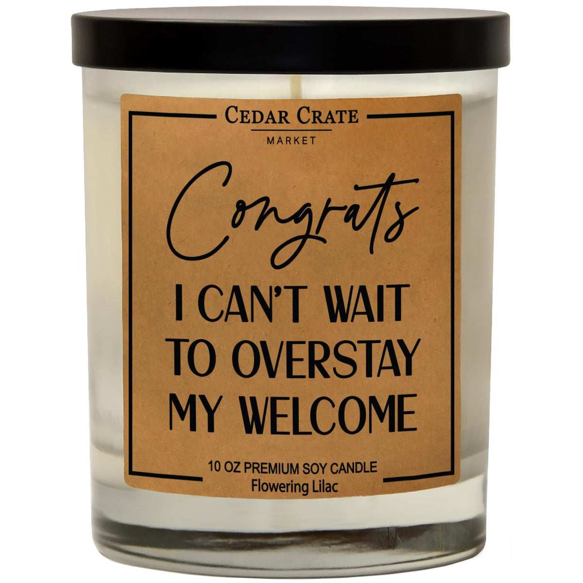 House Warming Presents For New Home 2025, Funny Housewarming Candle, New Apartment Decor, New Gift Ideas For Women Men Friends, Couples, Unique Gifts, 100% Soy Wax, Made In Usa