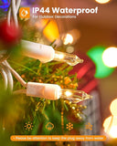 100 Count Clear Christmas String Lights 20FT White Wire Mini Incandescent Lights for Indoor Christmas Tree Garland Wedding Party Festival Home Decor