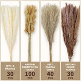 17" 200Pcs Dried Pampas Grass Decor, Naturally Small Boho Pampas Grass With Bunny Tails & Reed Grass For Home Table Decor, Wedding, Rustic Farmhouse Party Decorations, White And Brown
