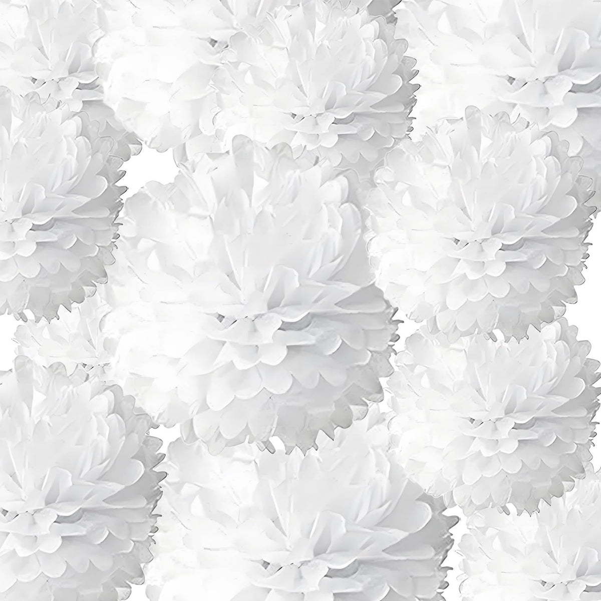 White Tissue Paper Pom Poms 12Pcs- Hanging Paper Flowers for Wedding Birthday Graduations Christmas and Special Occasions(10 & 12 inch)
