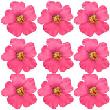 20 Pcs Light Pink Hawaiian Faux Flowers Hibiscus Flowers Hawaii Party Summer Party Diy Foam Hibiscus Flower For Tabletop Decoration Favors Supplies (No Clip)