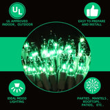 63.8Ft Green Wire Green String Lights, 300 Count (150L*2Pcs) Incandescent Christmas Lights