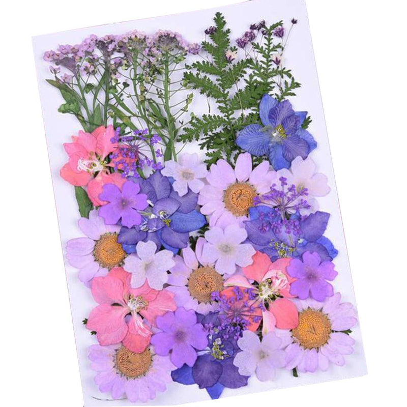 34 Pcs Real Dried Pressed Flowers, Leaves Petals Colorful Daisies For Art Craf