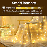100 LED Globe String Lights 59FT Plug in Fairy Lights with Remote Control 8 Lighting Modes Waterproof Dimmable Warm White Decorative String Lights for Indoor Outdoor Bedroom Patio Party Decor