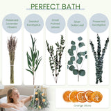 2 Pack Real Dried Shower Eucalyptus Hanging, 15''-17'' Bathroom Spa Shower Dried Plants And Bouquet Lavender Bundle With Lemon Slices For Diy Crafts Home Wall Wedding Christmas Decor