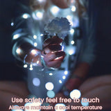 12 Pack Led Fairy Lights Battery Operated String Lights With Timer Waterproof Silver Wire 14 Feet 40 Led Twinkle Mason J