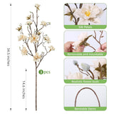 3Pcs Artificial Magnolia Flowers Stems For Spring Decoration, Faux Champagne Magnolia Branches With Buds, 34.5" Long Stems Floral Arrangement For Vase Pot Table Centerpiece Indoor Decor