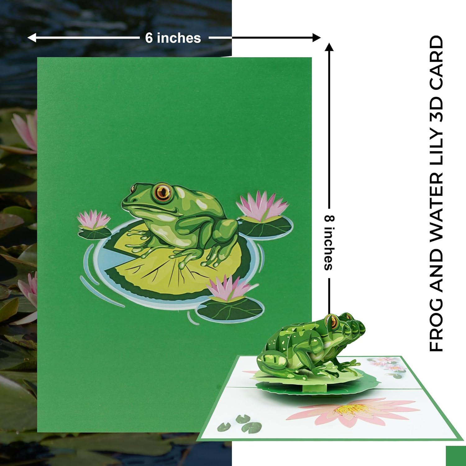 Green Leap Of Joy: Vibrant Frog 3D Pop-Up Card - 6"X8" - Unique Gift For Birthday, Get Well, Spring Greetings, Ideal For Animal Admirers And Nature Lovers, Charming Surprise Present