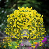 2Pcs Outdoor Faux Hanging Flowers Artificial Morning Glory With Eucalyptus Leaves Uv Resistant Look Real Fake Plants For Outside Planter Porch Patio Balcony Yard Decor(Yellow)
