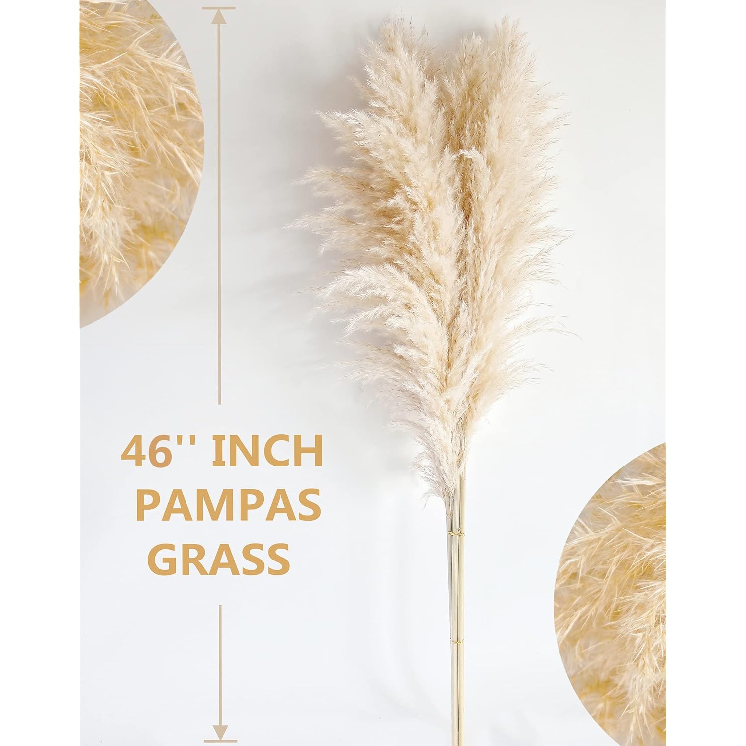 46" Inch 10 Stems Natural Pampas Grass Decor Tall, Pompas Grass, Tall Pampas Grass For Weddingm, Farmhouse, Boho Home Decor (Beige)