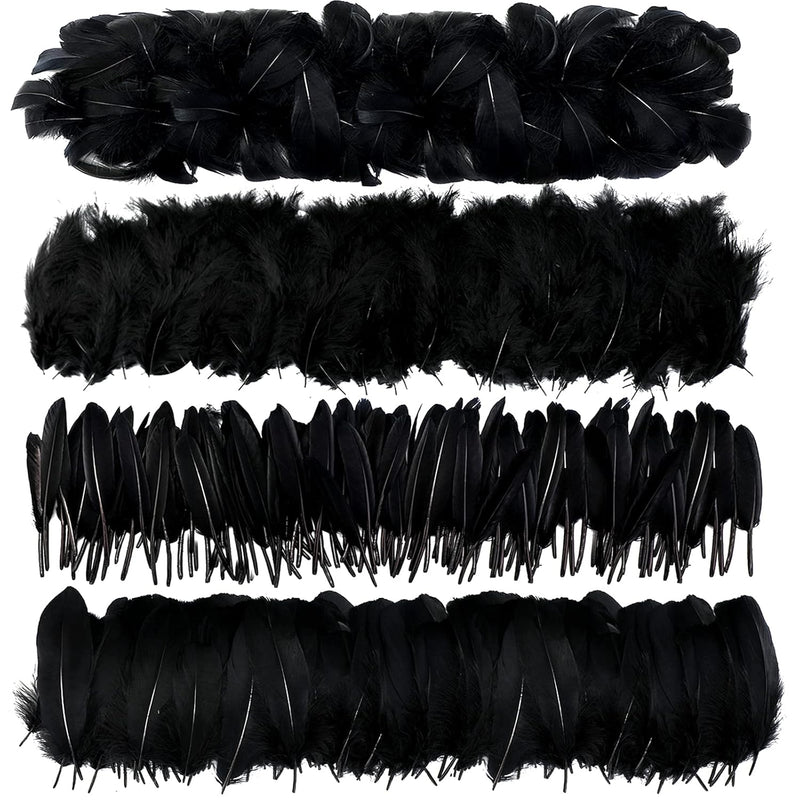 4 Styles Assorted Crafts Feathers, 400Pcs Black Feathers, Crafts Art G