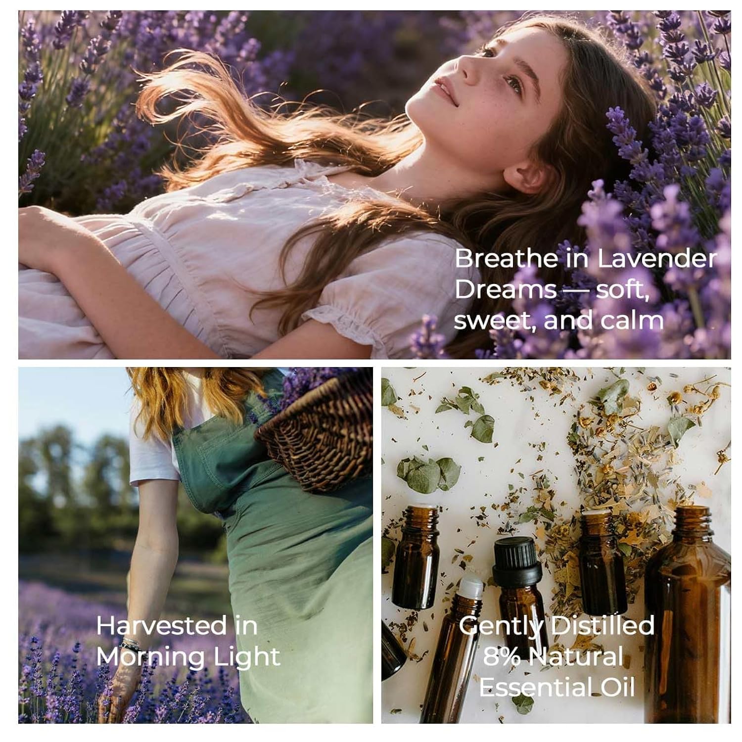 Retirement Gift For Woman – Unique & Heartfelt Retirement Gifts For Men – Lavender Memorable Farewell Gifts For Coworkers, Present For Boss, Friend, Office Goodbye Party By , Brown