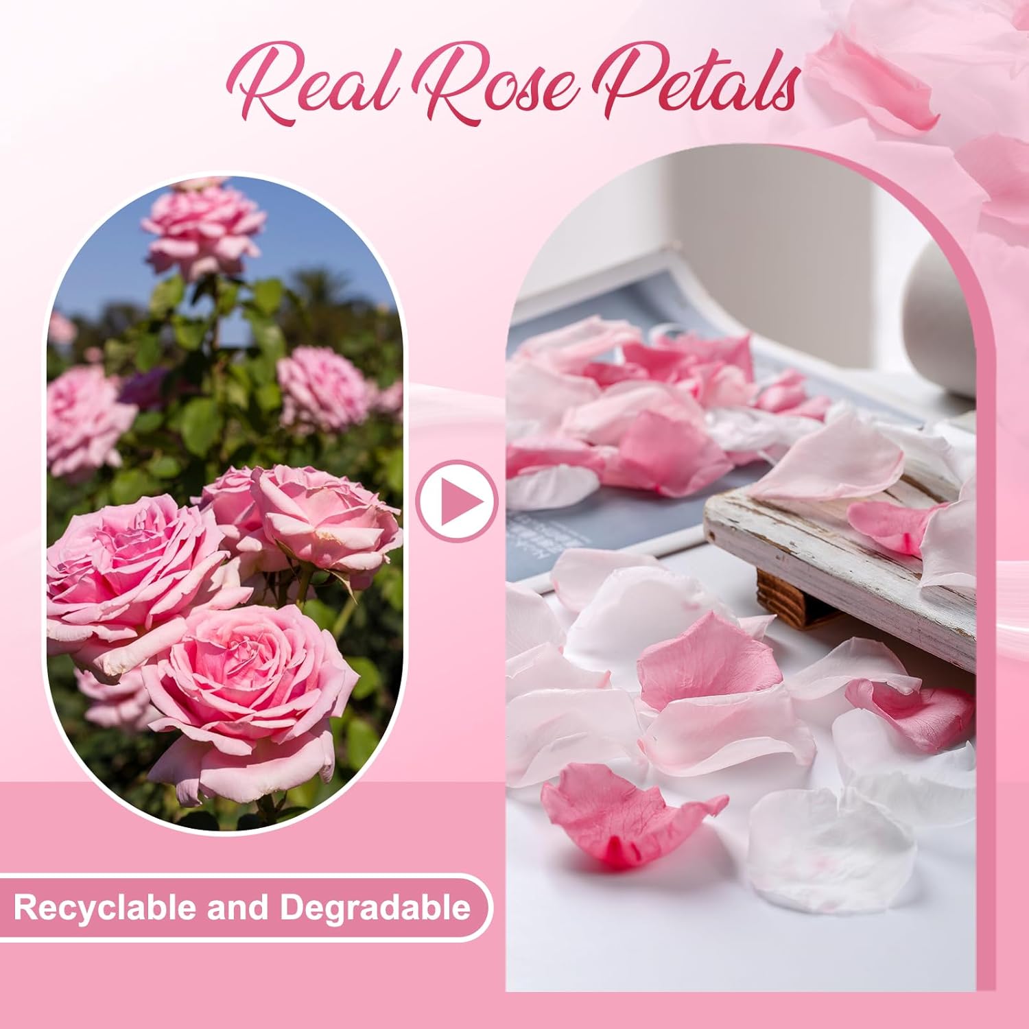 180 Pcs Real Pink White Rose Flower Petals Confetti For Wedding To Throw, 1.75Oz Freeze Dried Rose Petal For Proposal Centerpieces Romantic Night Decor